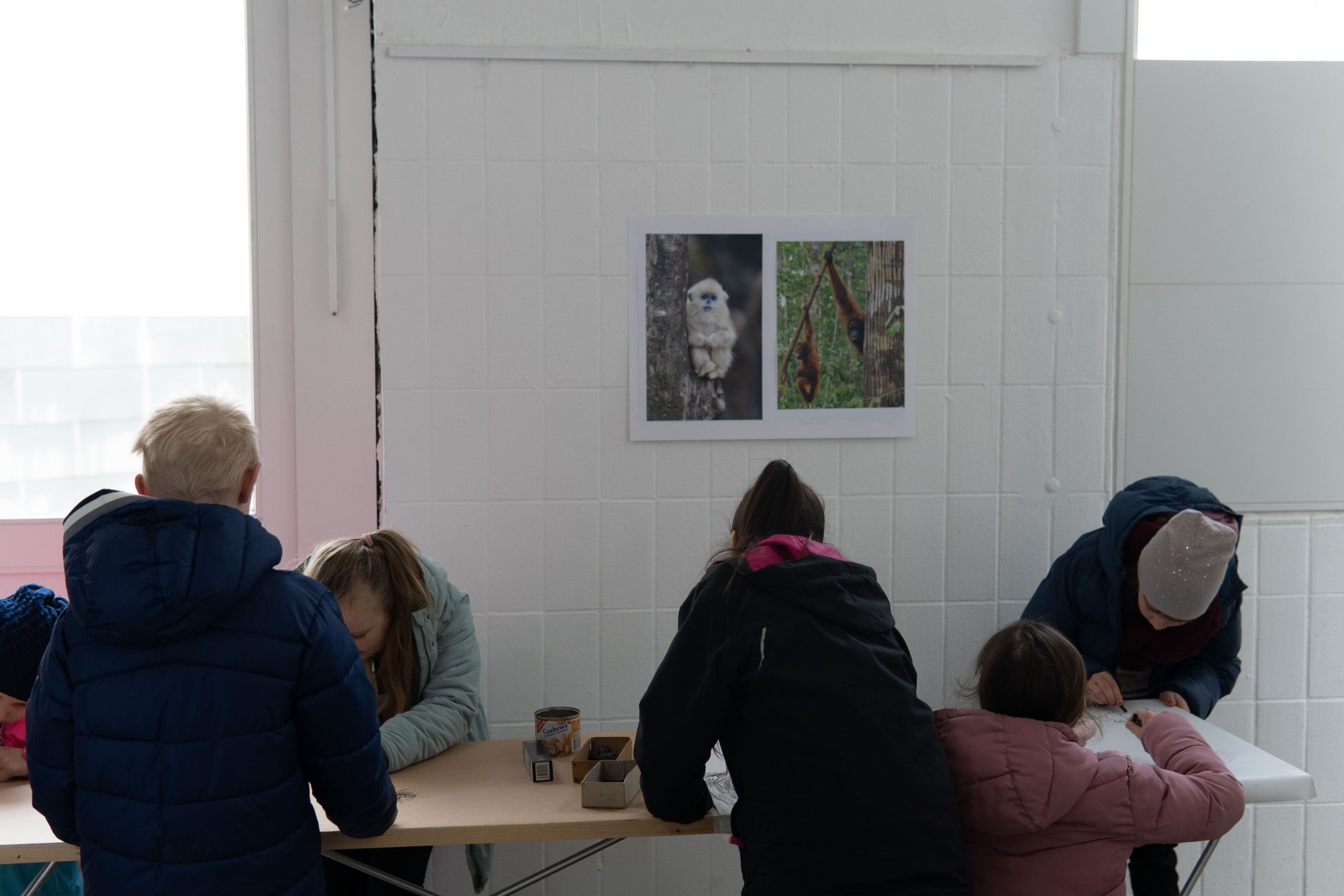 Mehrere Kinder stehen an einem langen Tisch und malen. An der Wand im Hintergrund hängen zwei Fotos von Affen.